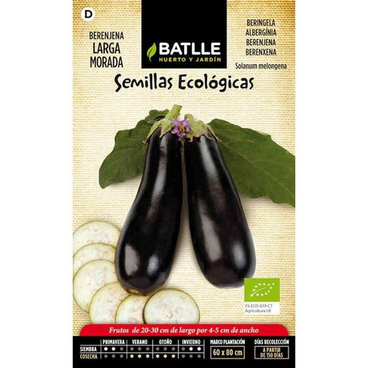 Graines Bio d'Aubergine Longue Pourpre Batlle 650501