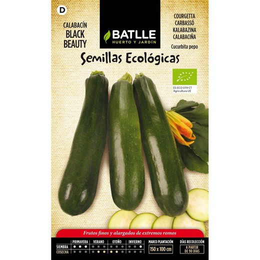 Organiske sorte zucchini skønhedsfrø