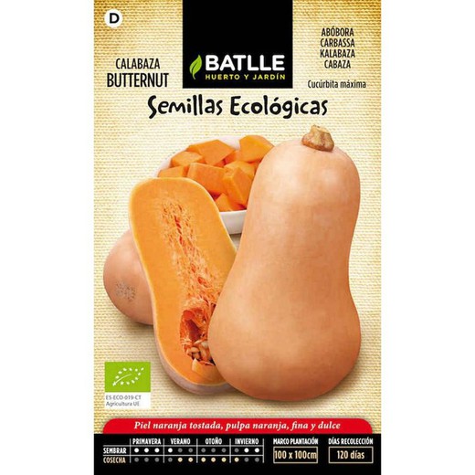 Semillas ecológicas de Calabaza Butternut