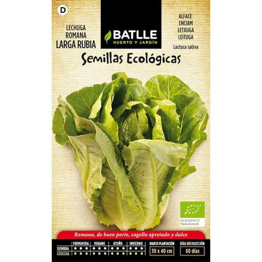 Semi organici Romaine Lettuce biondo lungo