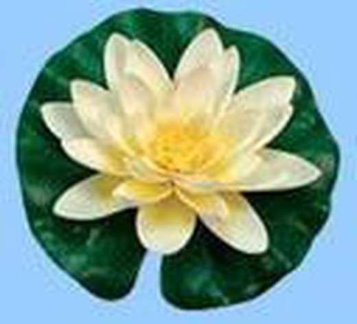 Septembre 3 blanc soie lily avec des gouttes de aguaset Ubbink