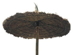 parasol de bruyère