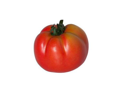 Raf tomate