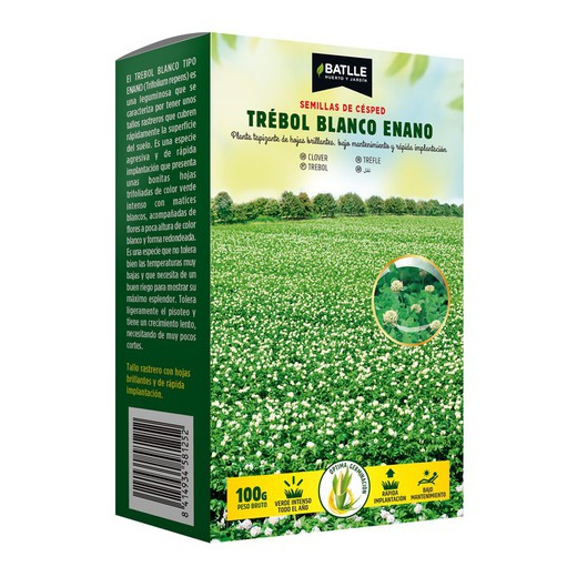 Graines de Trèfle Blanc Nain Batlle Paquets 100 g, 250 g et 1 kg