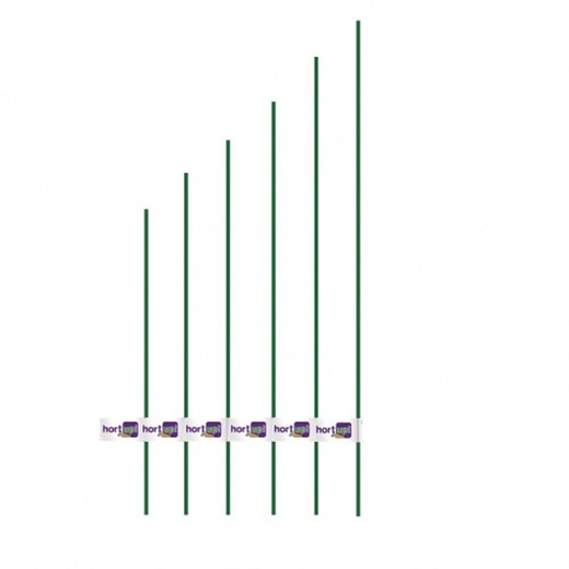 Bloem gelamineerd stalen paal: 11mm-1.