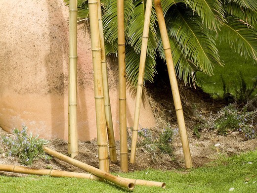 Bambus Nachhilfelehrer Deco