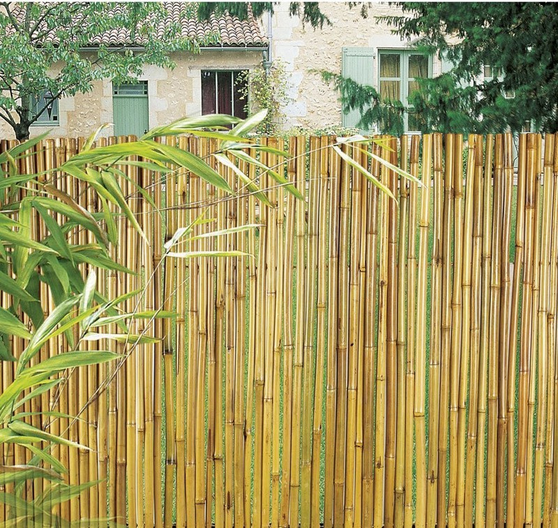 Canisse bambou 1m50 au meilleur prix