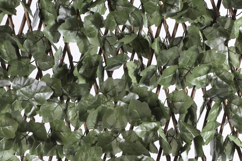 Celosía extensible de mimbre con hojas Nort Trelliwillow Liana 1x2m — Brycus