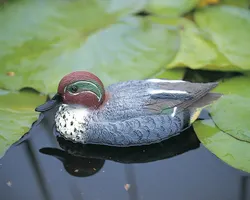 Canard mandarin mâle figure de proue 31 cm Ubbink