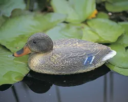 Canard sauvage femelle figure de proue 39 cm Ubbink