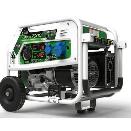Gas- und Benzingenerator Genergy Natura 7000 7000W 230V E-Start