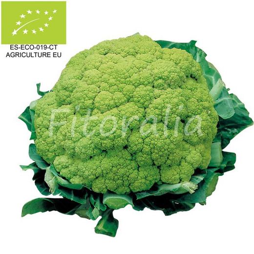 Chou-fleur vert ECO M-10.5