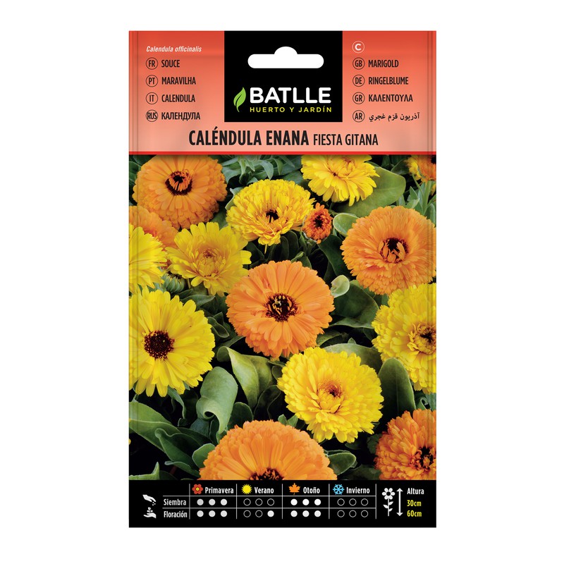 Nain Calendula Fiesta Gitana — BRYCUS