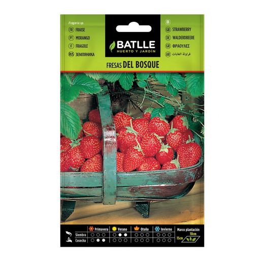 graines forestières sur les fraises