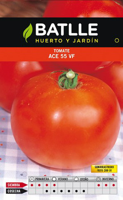 Semillas Batlle Semences de tomates Marglobe : : Jardin