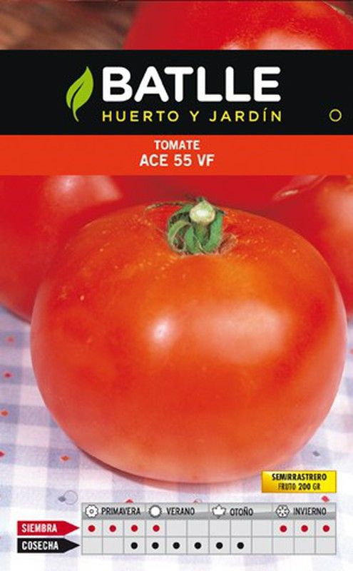 ACE 55 VF Tomato (10 sachets of 5g.)