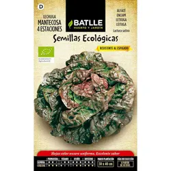 Four Seasons Lettuce