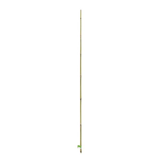 Tutor de bambú NATURAL BAMBOO Nortene